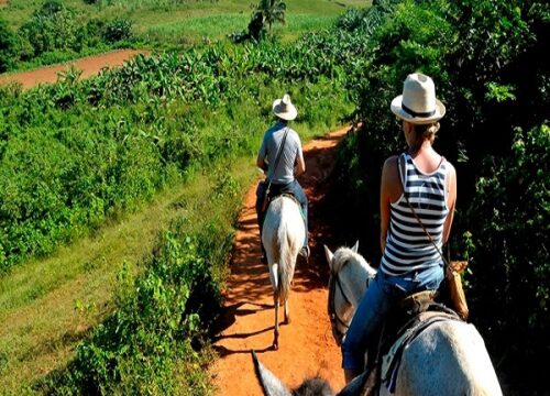Descubre el Valle de Viñales a caballo.